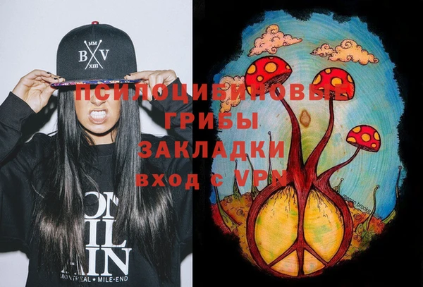 дживик Балахна